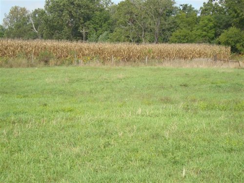 Property photo 5 - 133+/- Acres Offered in 4 Tracts - Farmland, Hunting & Recreation or Future Building Sites